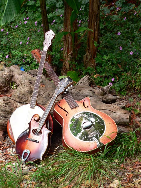 blue grass